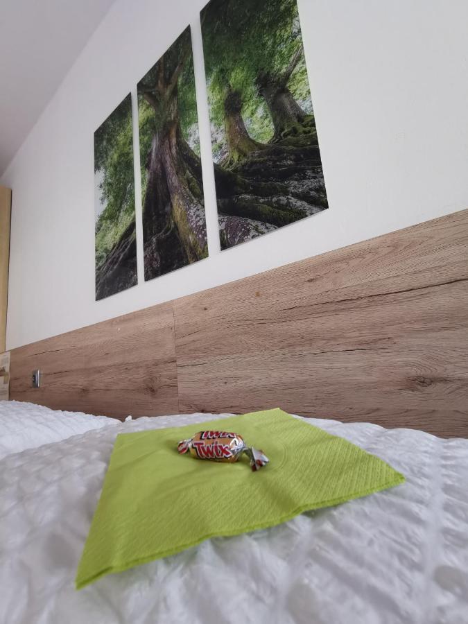 Appartement Mit Doppelbett Oder 2 Einzelbetten Bad Aussee Ngoại thất bức ảnh