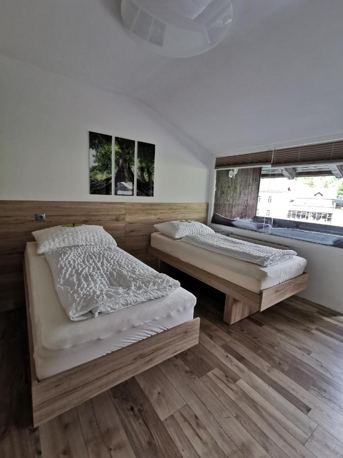 Appartement Mit Doppelbett Oder 2 Einzelbetten Bad Aussee Ngoại thất bức ảnh