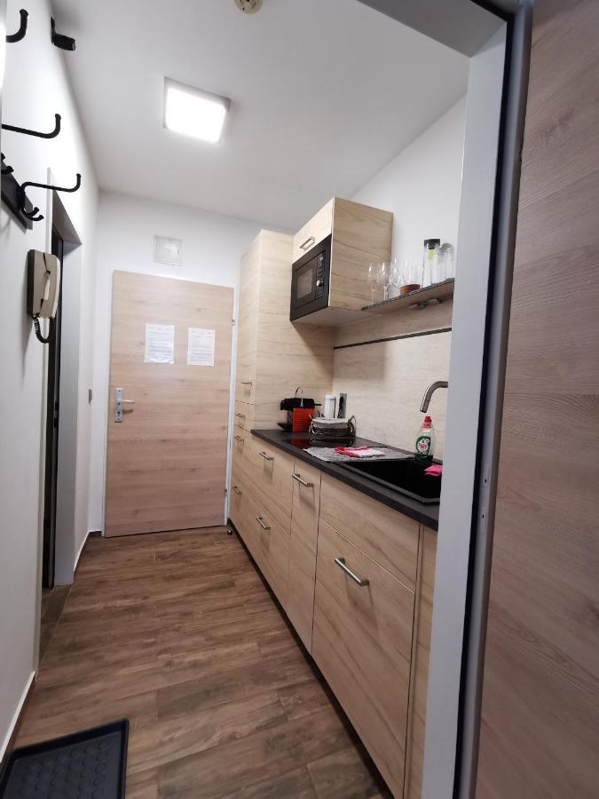 Appartement Mit Doppelbett Oder 2 Einzelbetten Bad Aussee Ngoại thất bức ảnh